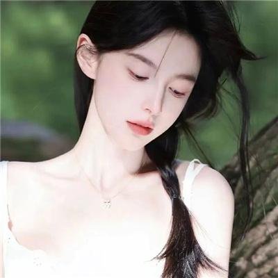 他的玫瑰与寒霜